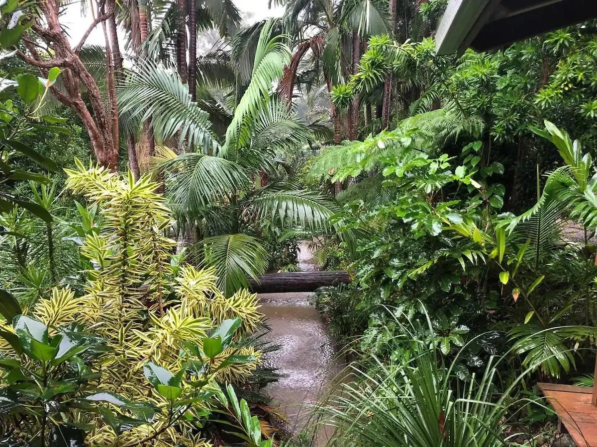 Eclectic Oasis In Doonan, Sunshine Coast Villa 0*, Doonan